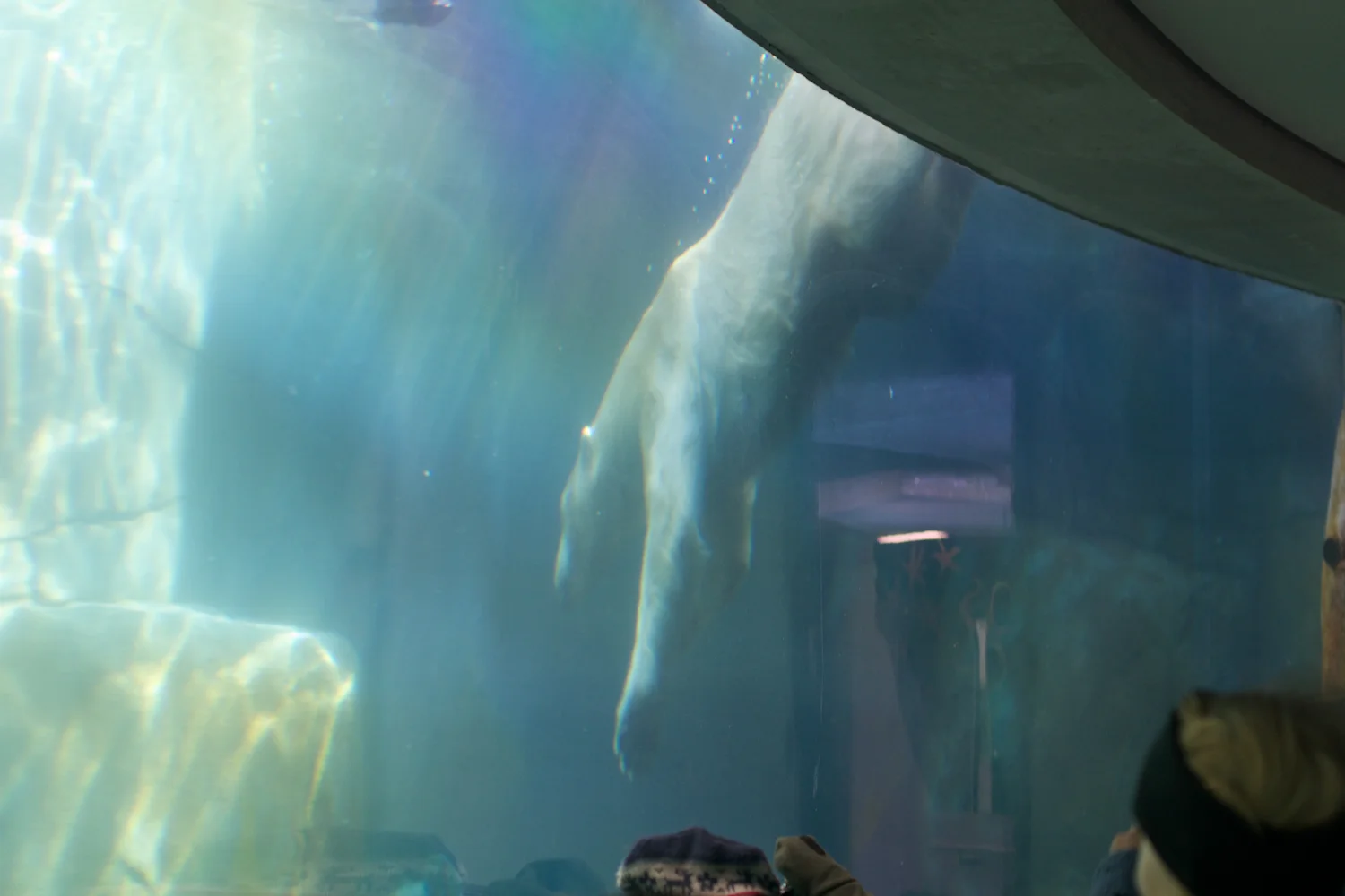 Zoo igen + følge 2013_03_23 5.jpg