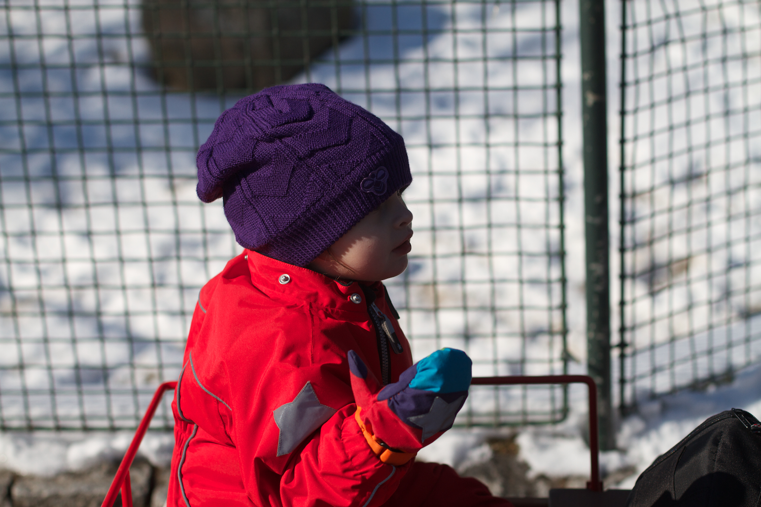 Zoo igen + følge 2013_03_23 9.jpg