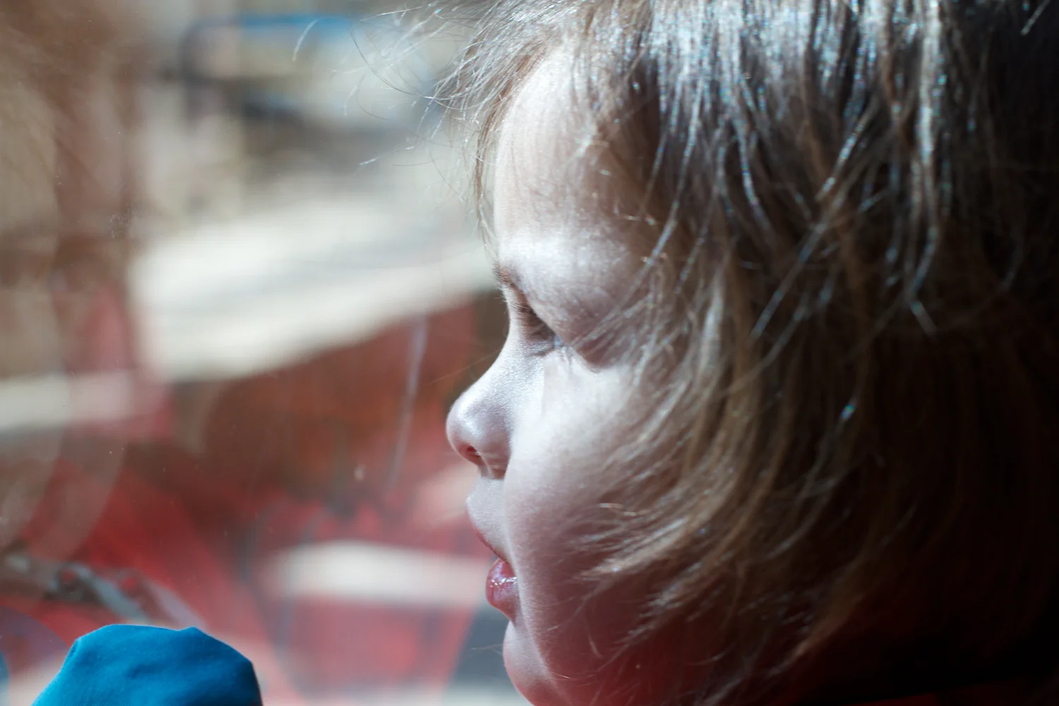 Zoo igen + følge 2013_03_23 13.jpg