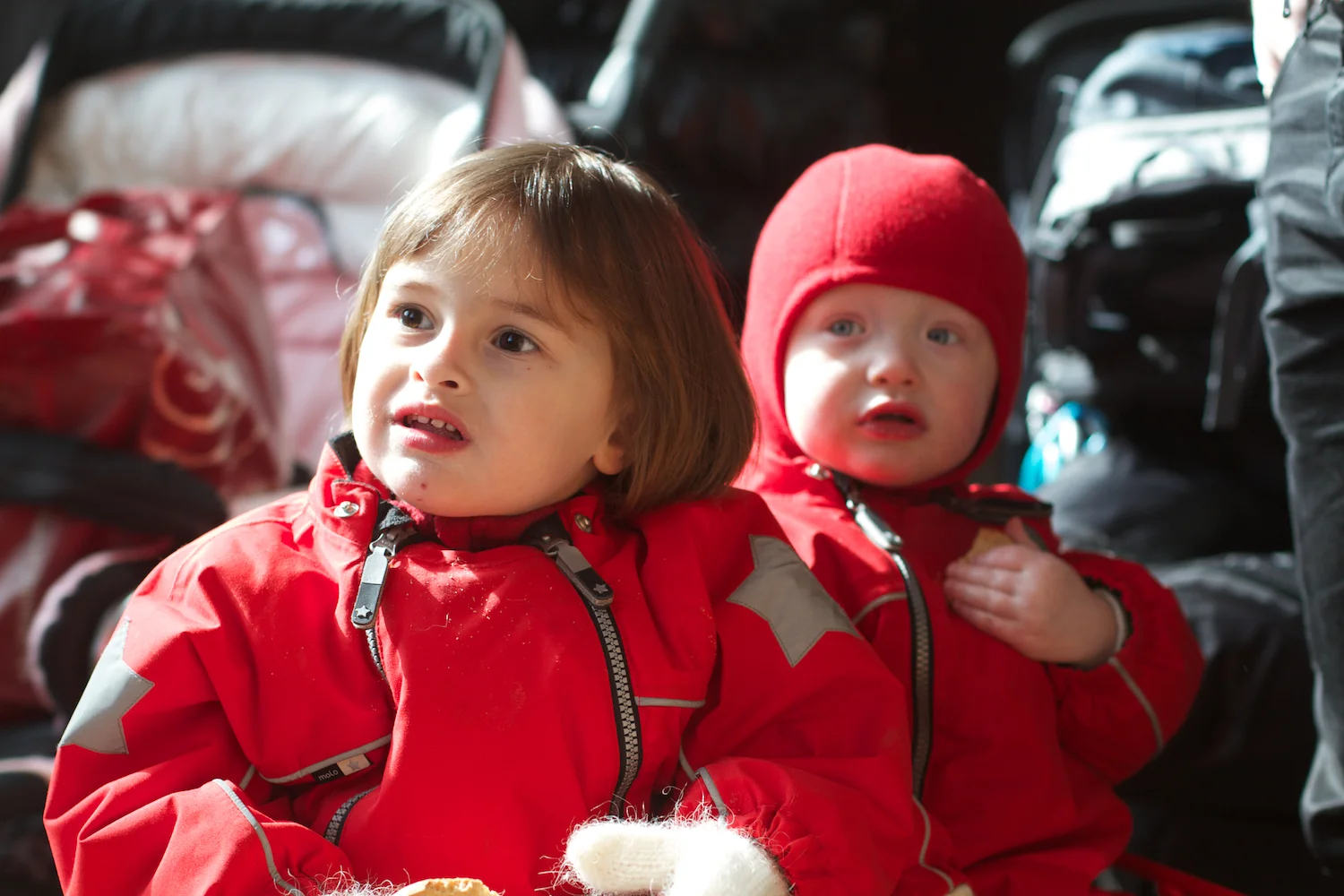 Zoo igen + følge 2013_03_28 20.jpg