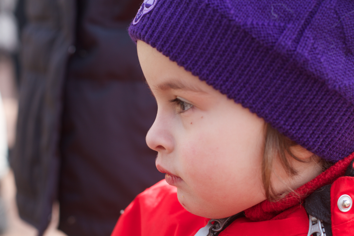 Zoo igen + følge 2013_03_28 21.jpg