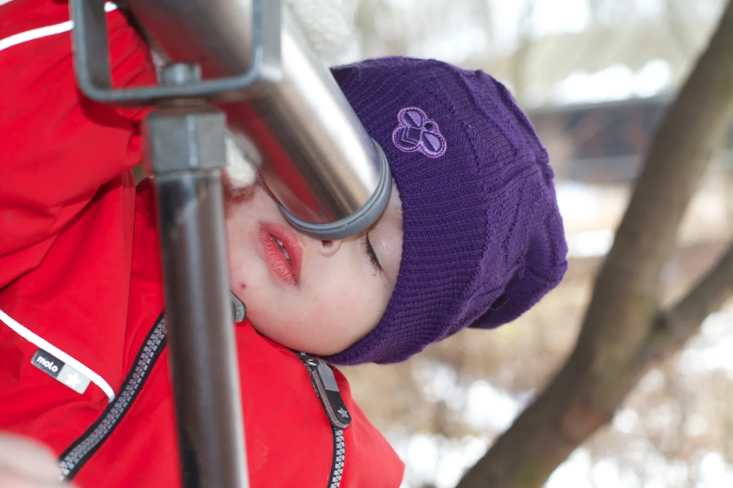 Zoo igen + følge 2013_03_28 28.jpg