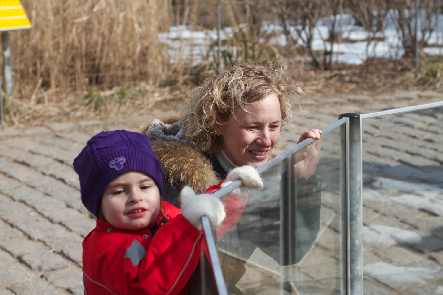 Zoo igen + følge 2013_03_28 31.jpg