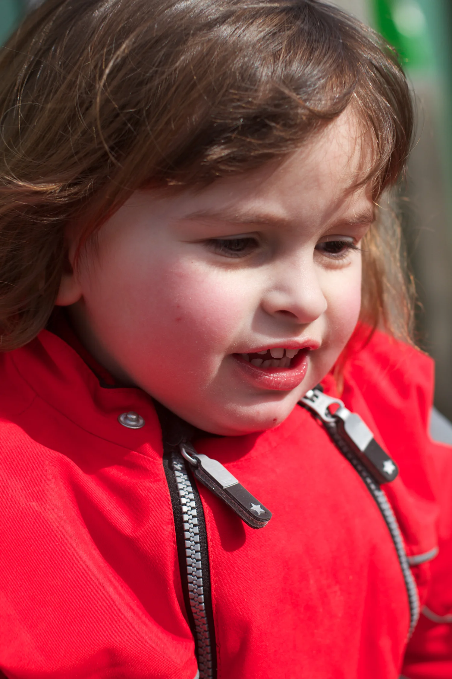 Zoo igen + følge 2013_03_28 42.jpg