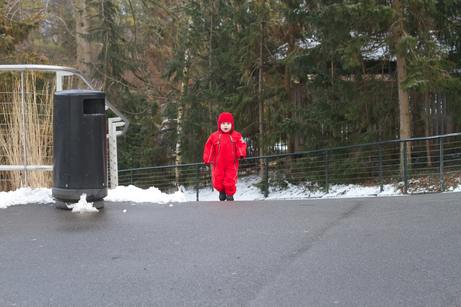 Zoo arktisk ring 2013_02_08 3.jpg