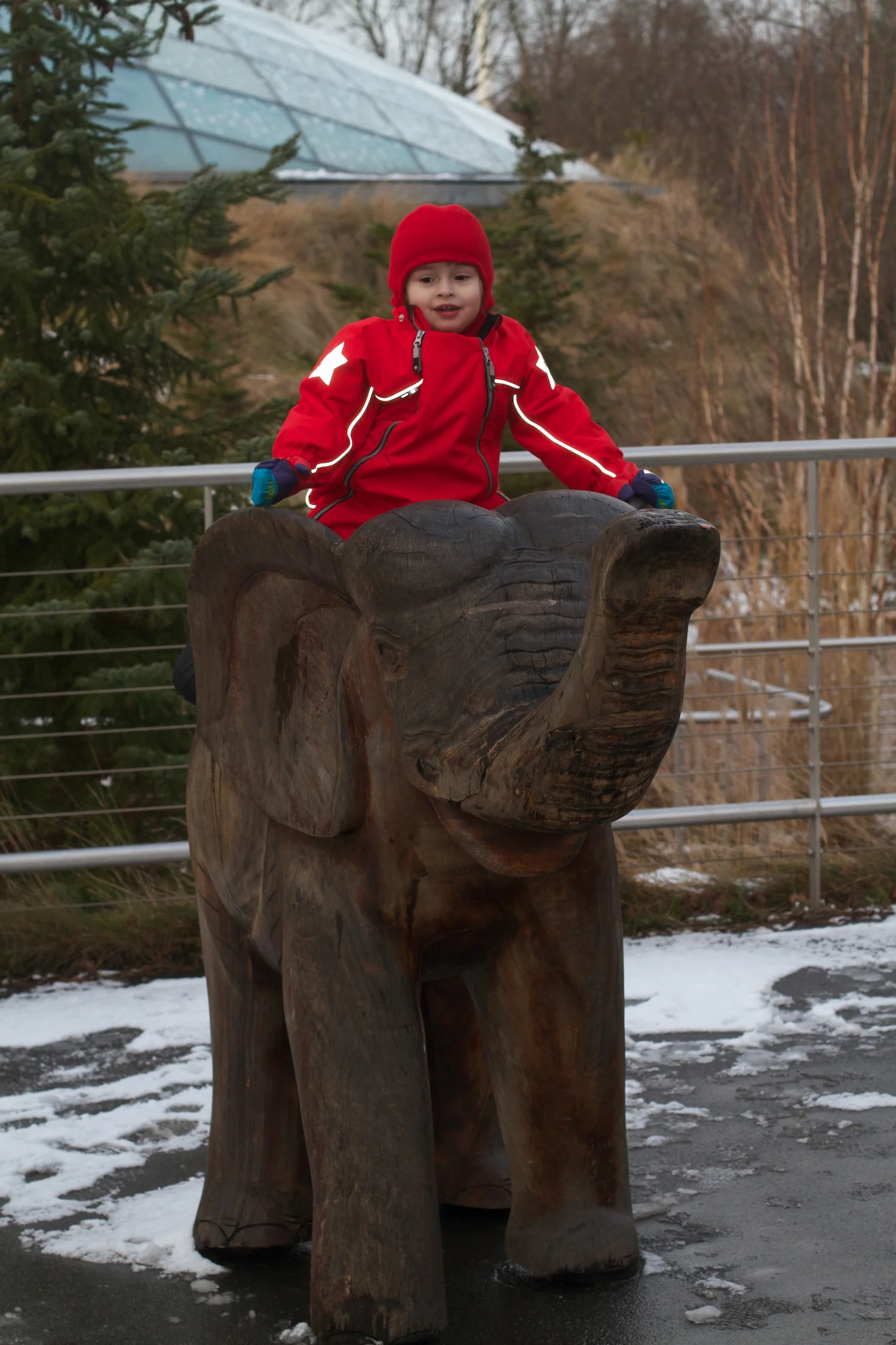 Zoo arktisk ring 2013_02_08 4.jpg