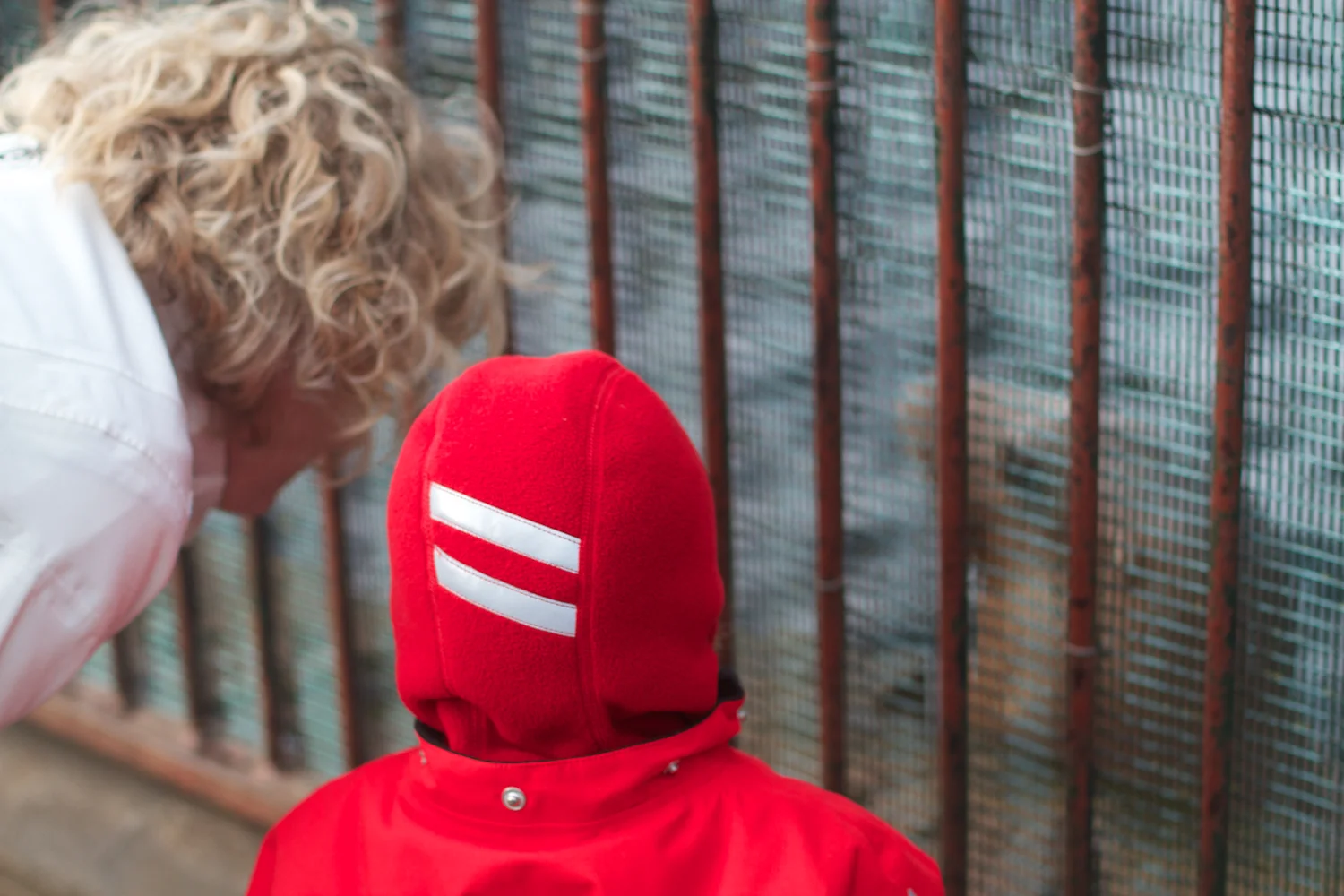 Zoo arktisk ring 2013_02_08 7.jpg