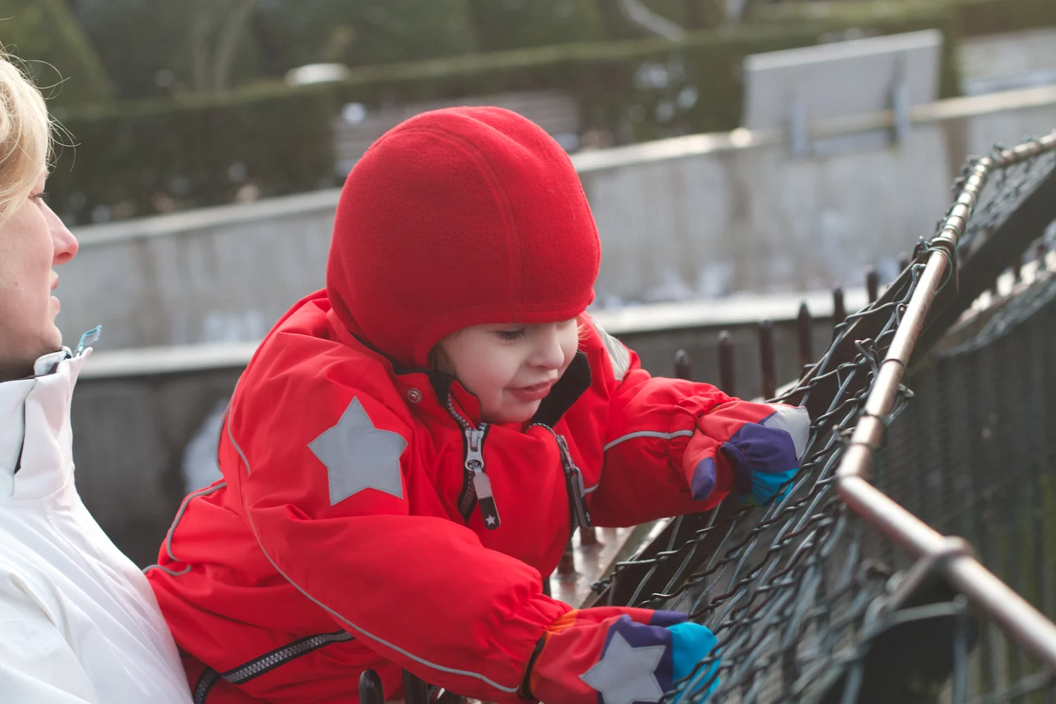 Zoo arktisk ring 2013_02_08 9.jpg