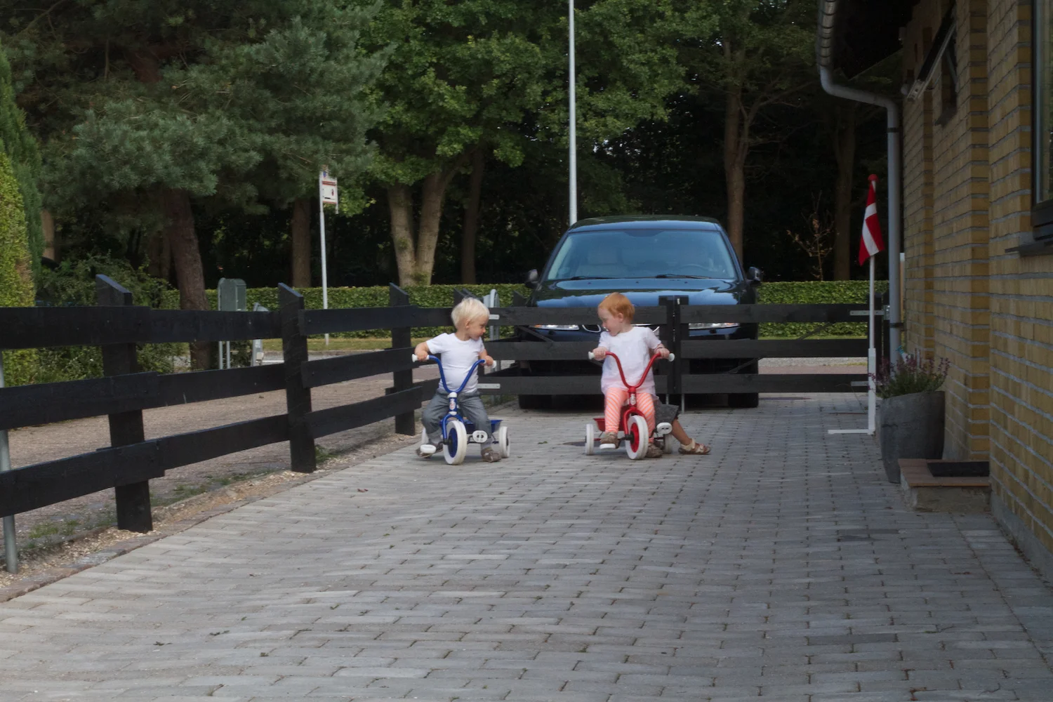 Karla og Anton 2 år 2013_08_10 12.jpg