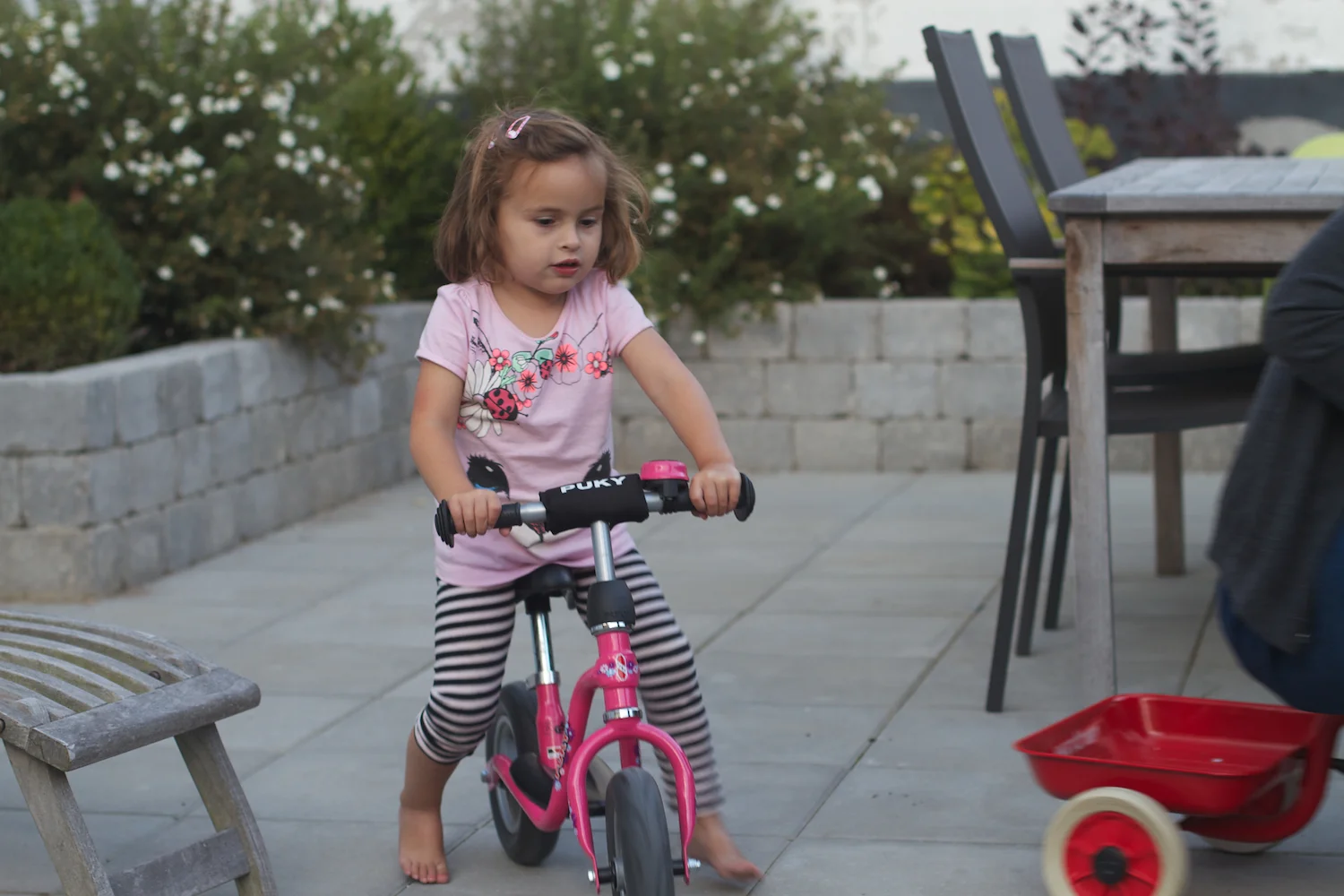 Cykeltøser 2013_08_23 4.jpg