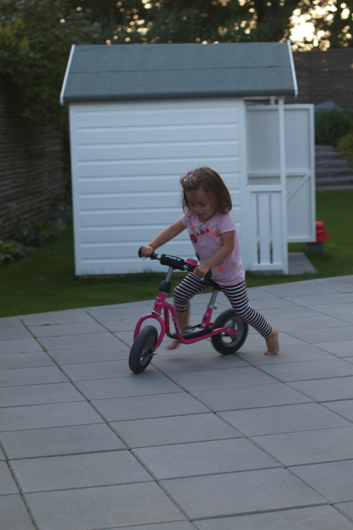 Cykeltøser 2013_08_23 7.jpg