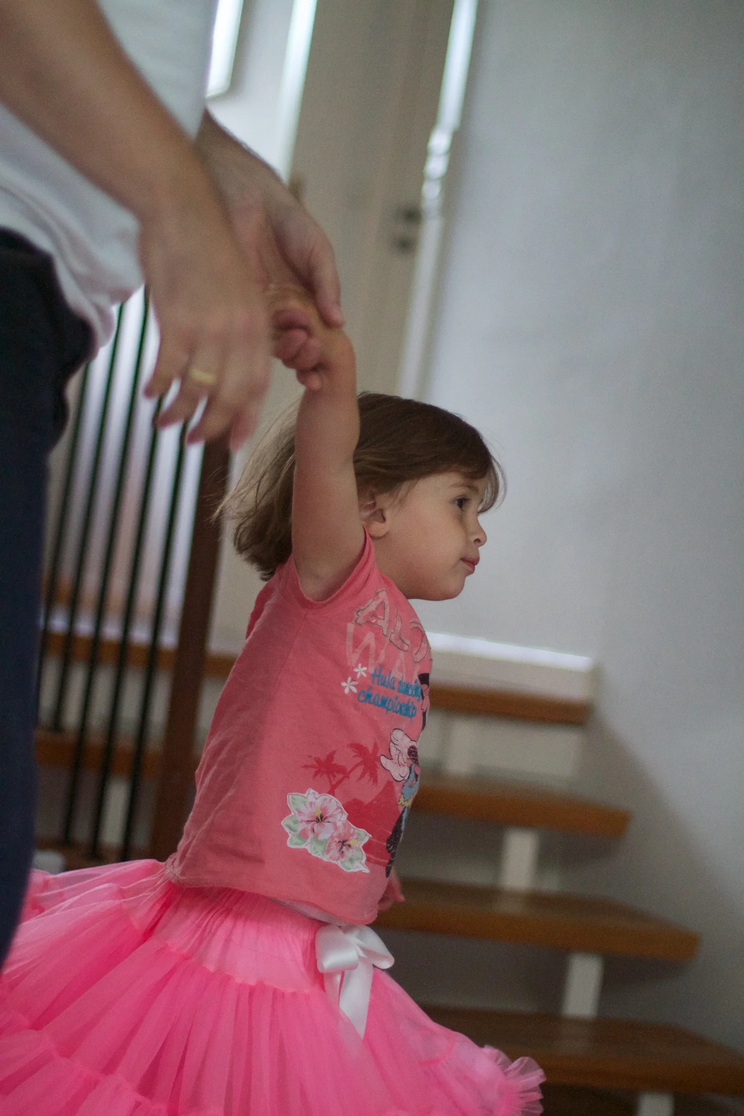 Dansetrold 2013_06_14 7.jpg