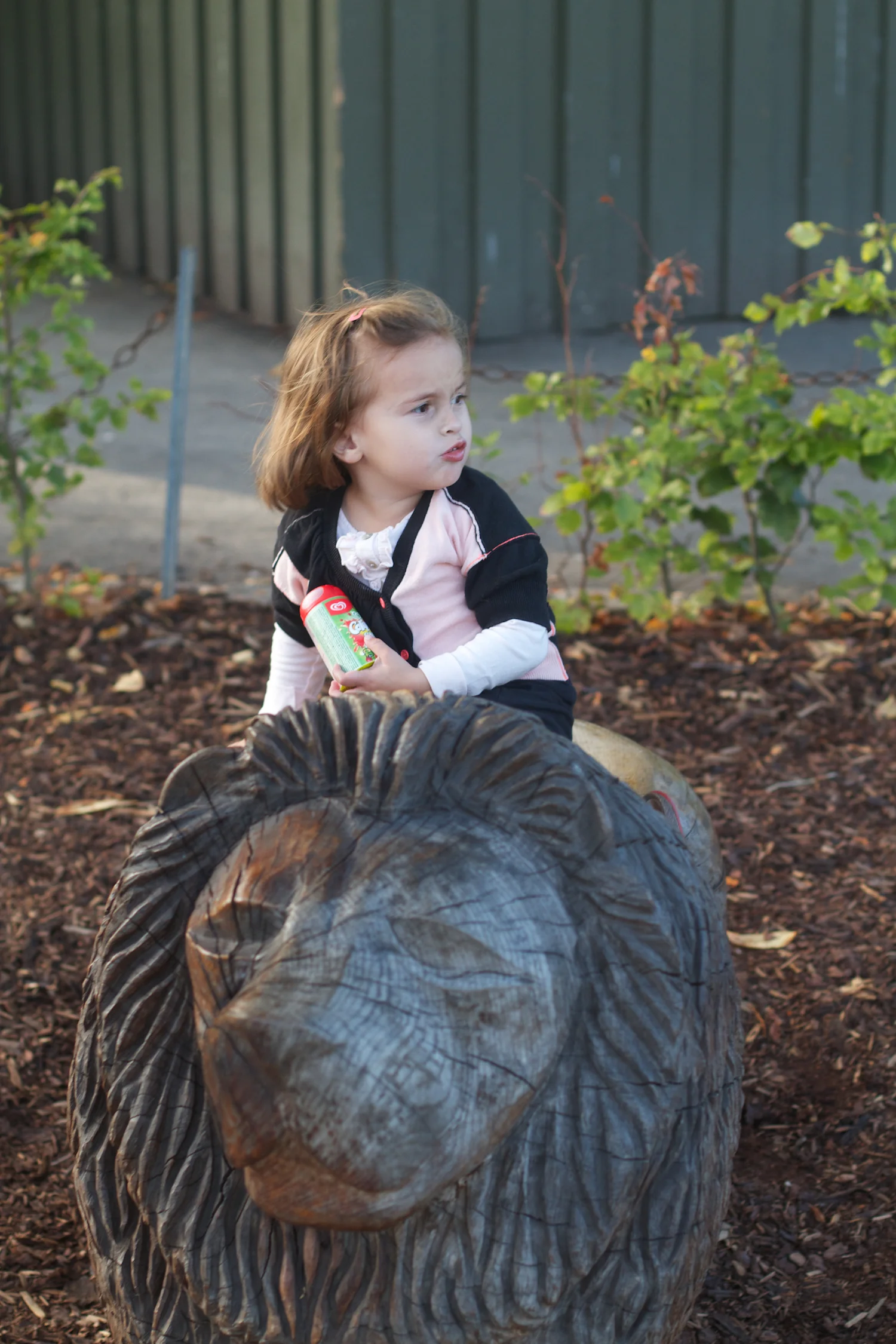 skd pic 2013_09_14 IMG_4654.CR2.jpg