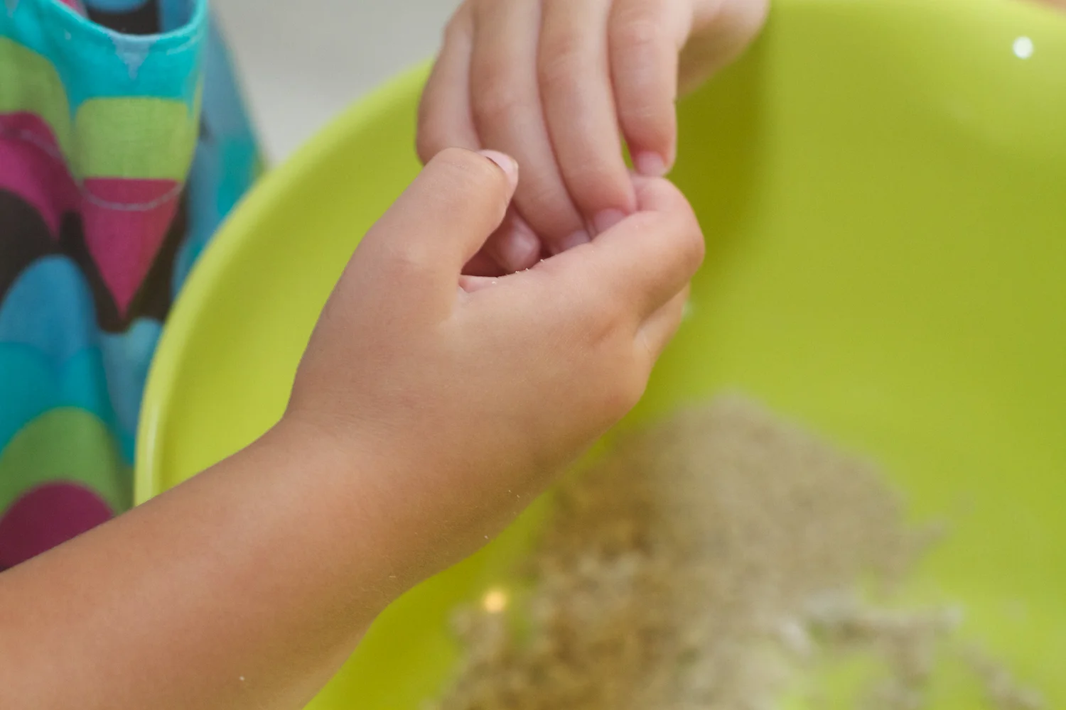 skd pic 2013_09_15 IMG_4672.CR2.jpg