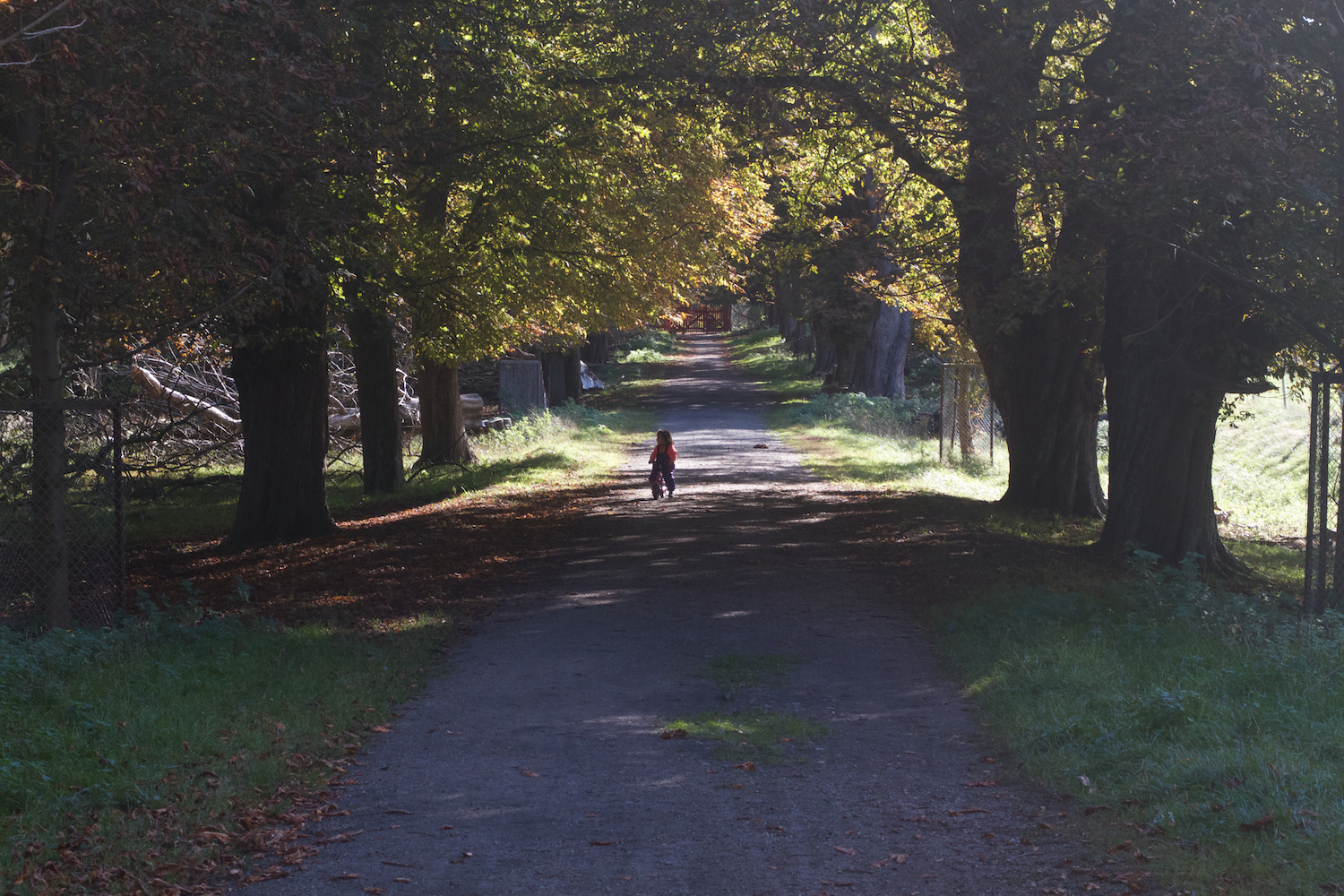 skd pic 2013_09_28 IMG_4849.CR2.jpg