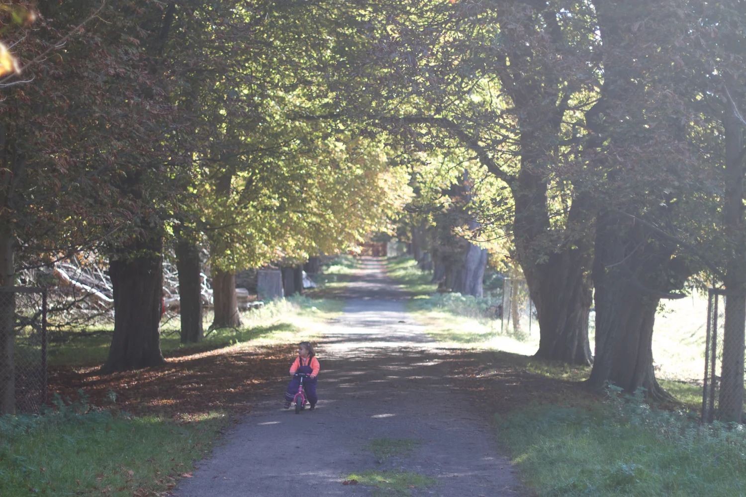 skd pic 2013_09_28 IMG_4853.CR2.jpg