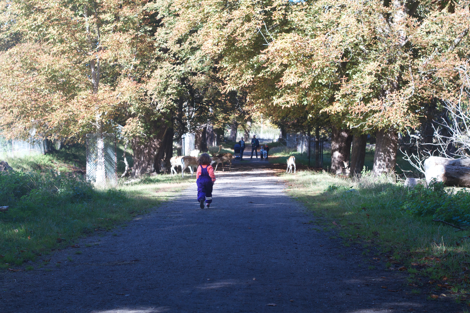 skd pic 2013_09_28 IMG_4874.CR2.jpg