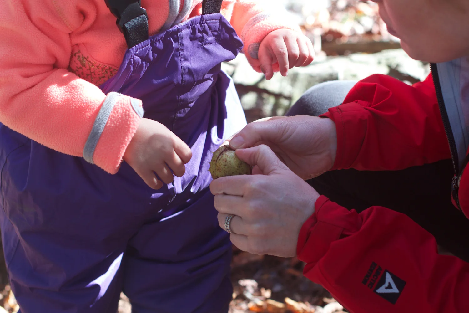 skd pic 2013_09_28 IMG_4875.CR2.jpg