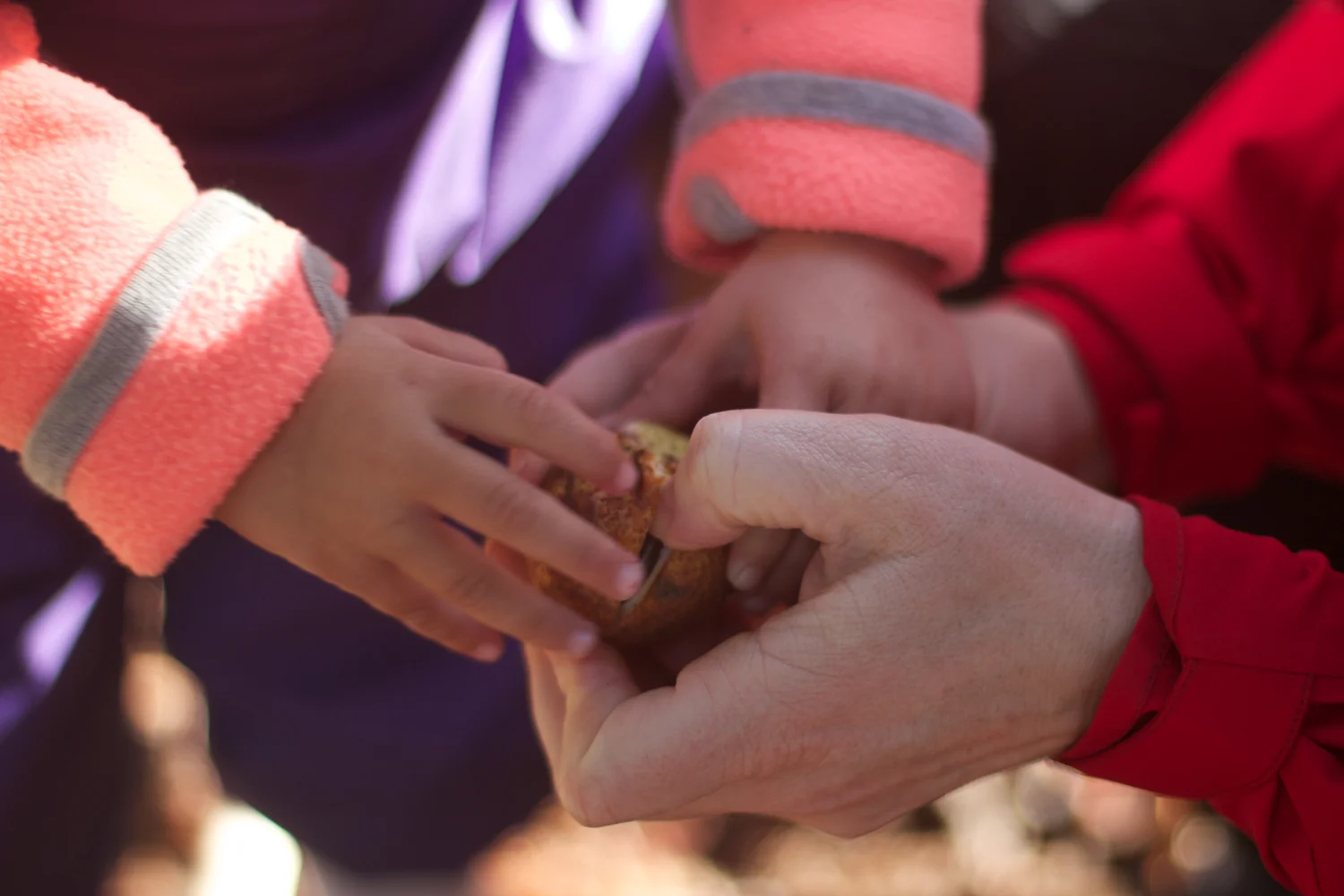 skd pic 2013_09_28 IMG_4881.CR2.jpg