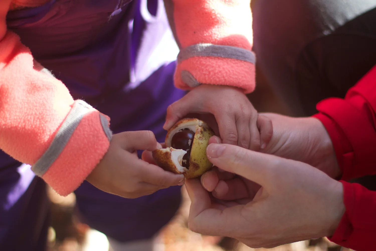 skd pic 2013_09_28 IMG_4885.CR2.jpg