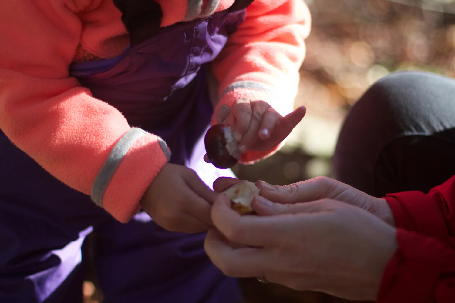 skd pic 2013_09_28 IMG_4891.CR2.jpg