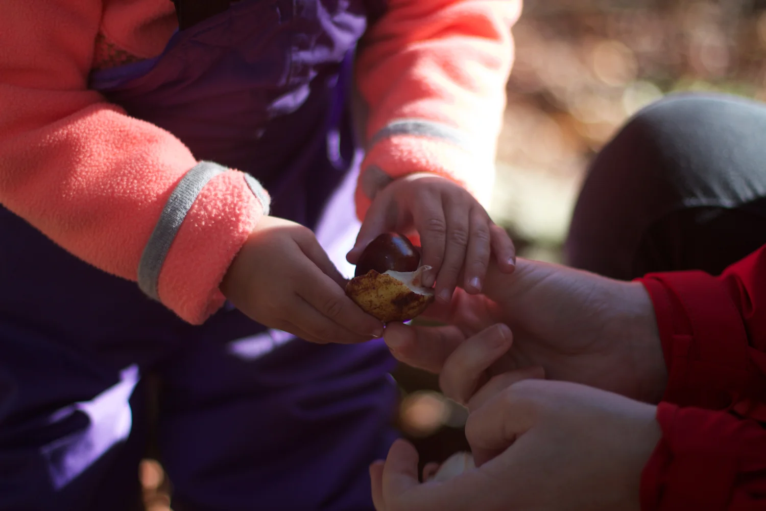 skd pic 2013_09_28 IMG_4890.CR2.jpg