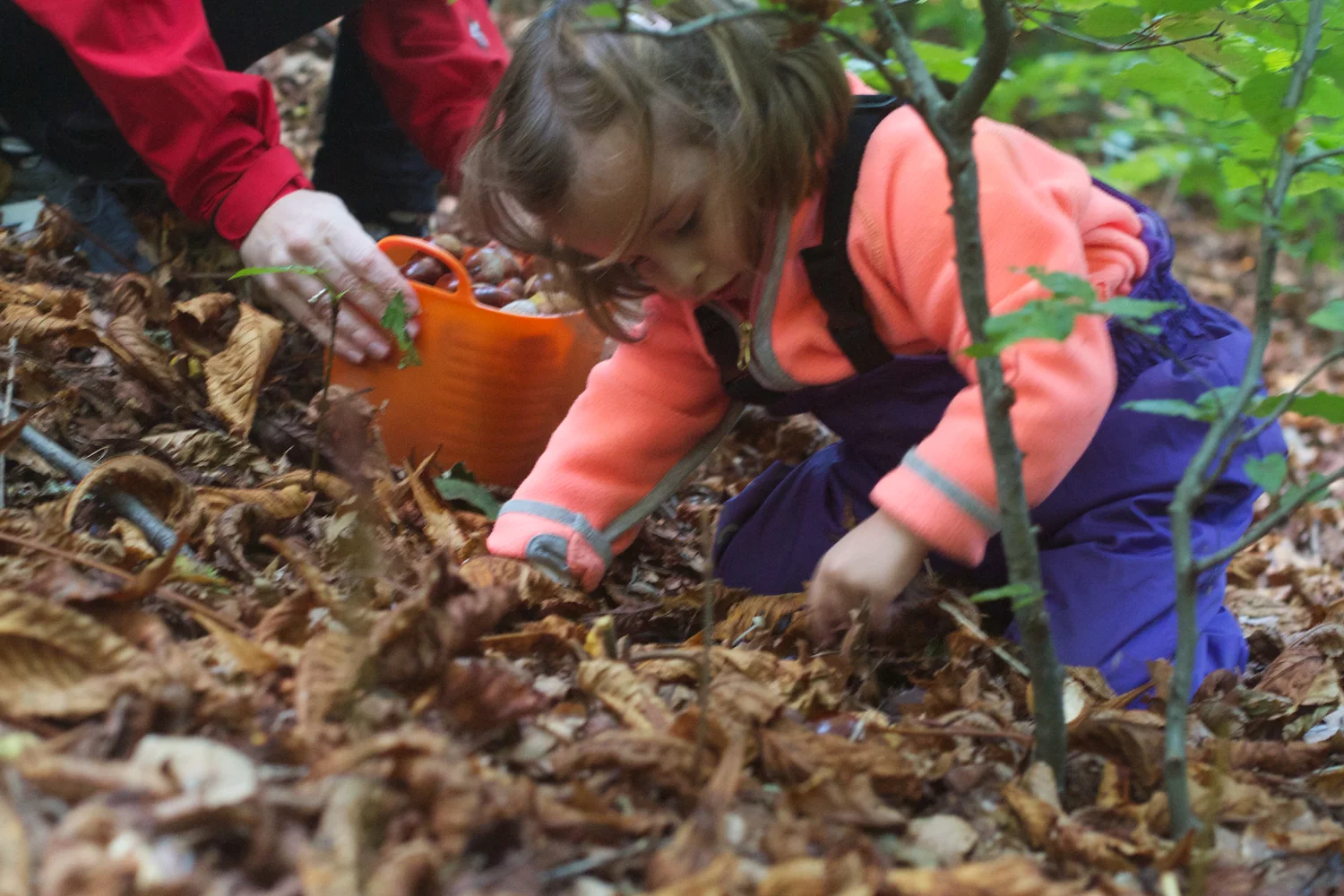 skd pic 2013_09_28 IMG_4897.CR2.jpg