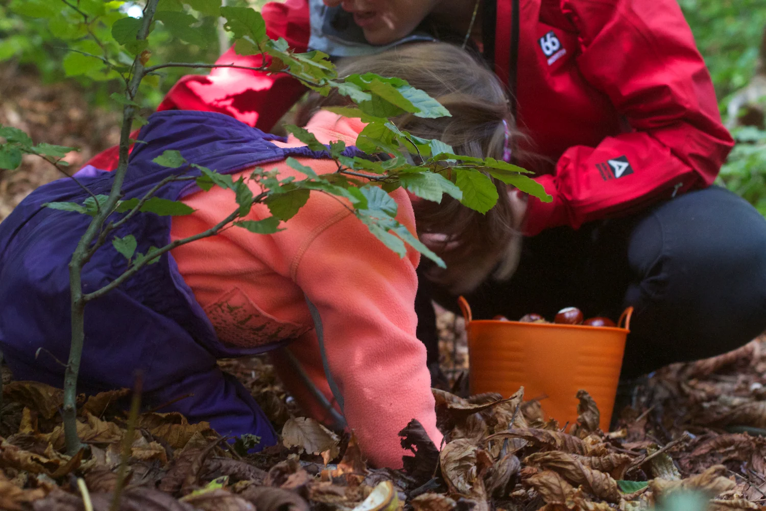 skd pic 2013_09_28 IMG_4903.CR2.jpg