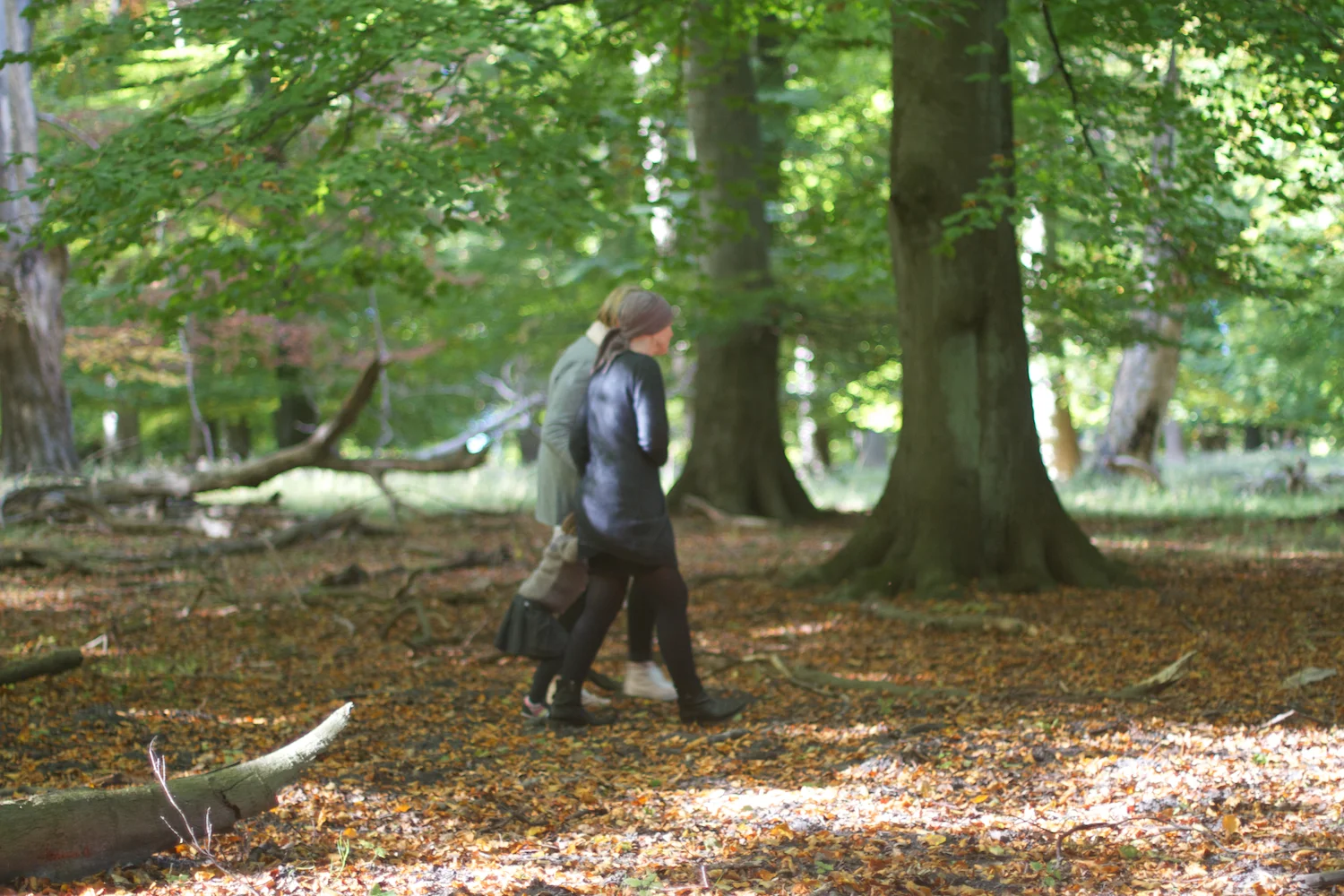 skd pic 2013_10_06 IMG_5062.CR2.jpg