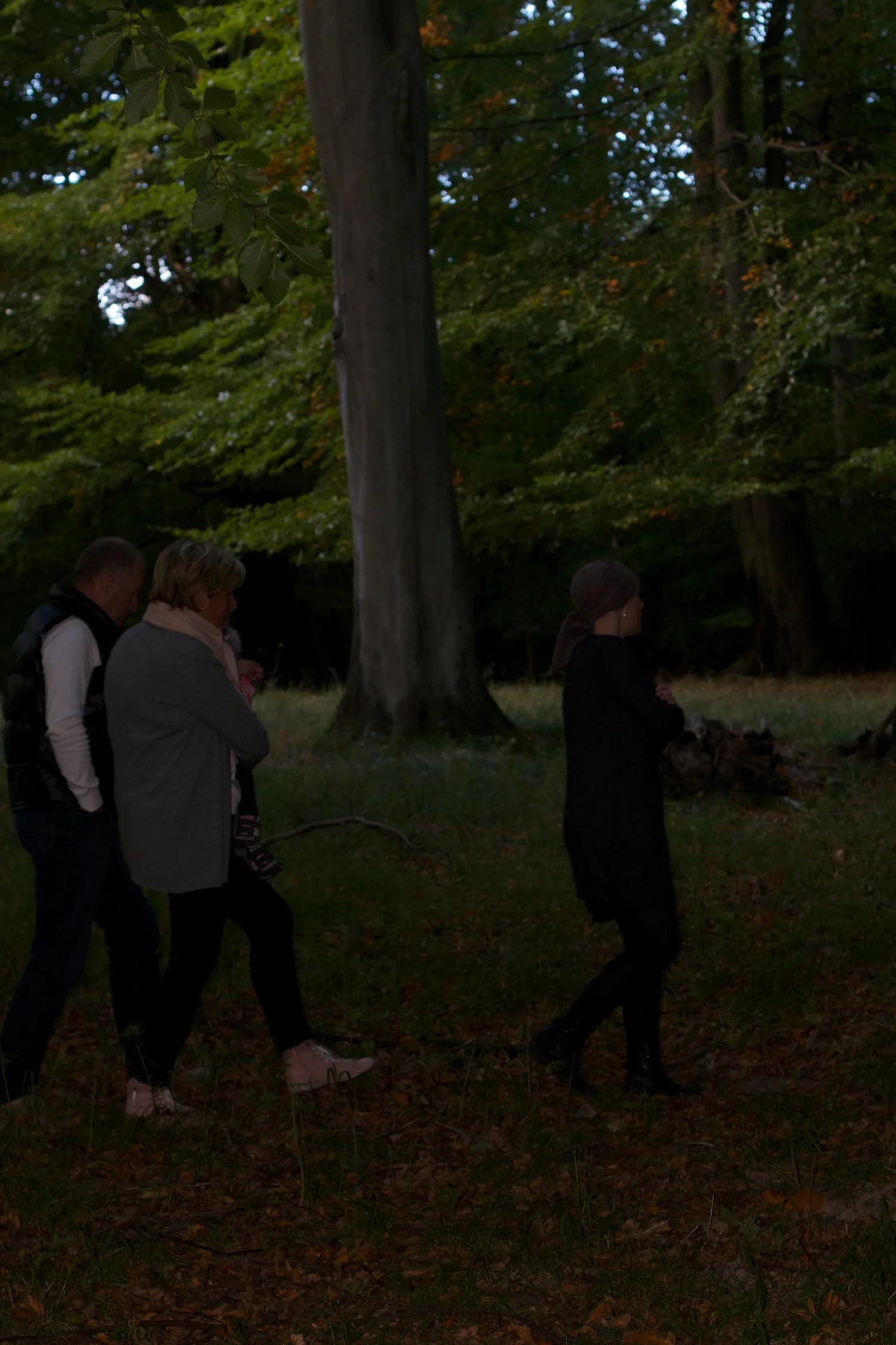 skd pic 2013_10_06 IMG_5065.CR2.jpg