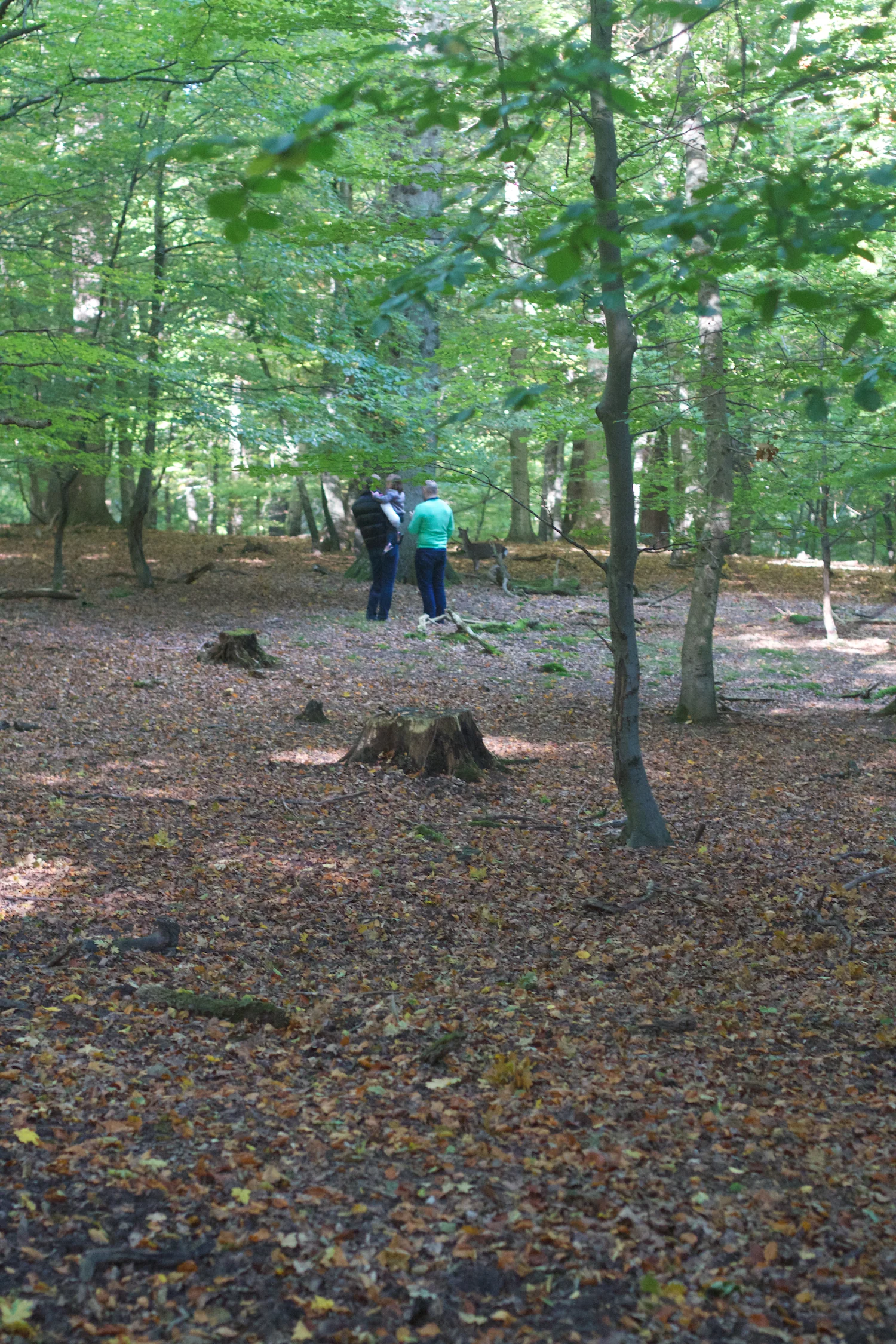 skd pic 2013_10_06 IMG_5084.CR2.jpg