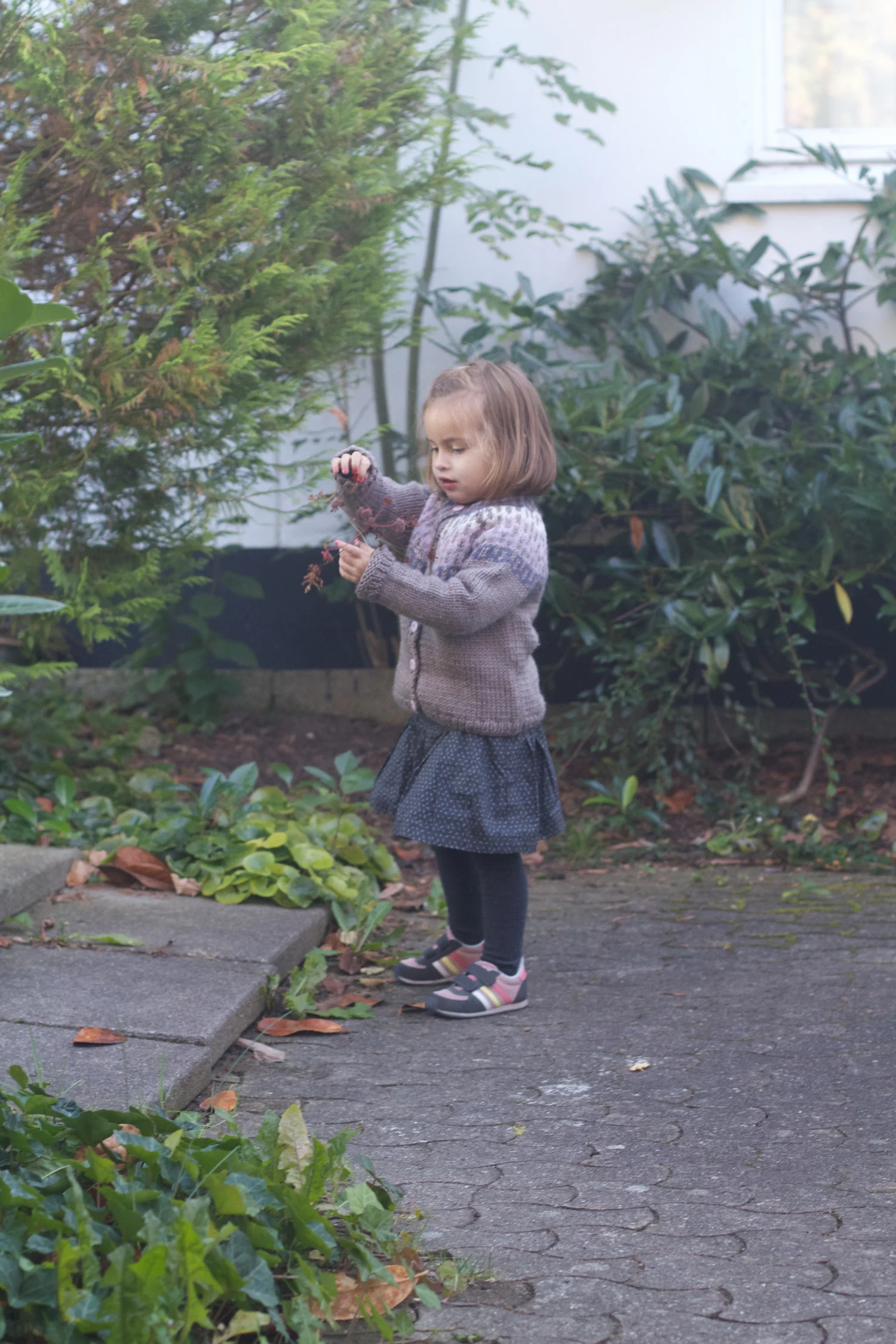 skd pic 2013_10_06 IMG_5135.CR2.jpg