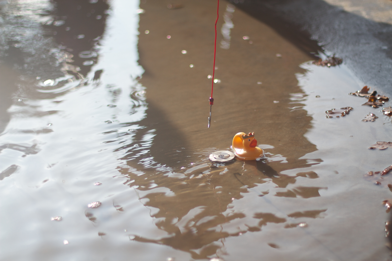 skd pic 2013_10_16 IMG_5298.CR2.jpg