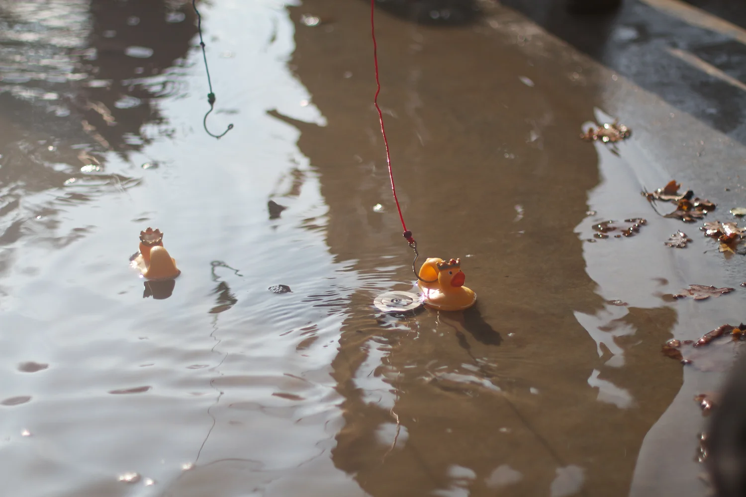 skd pic 2013_10_16 IMG_5299.CR2.jpg