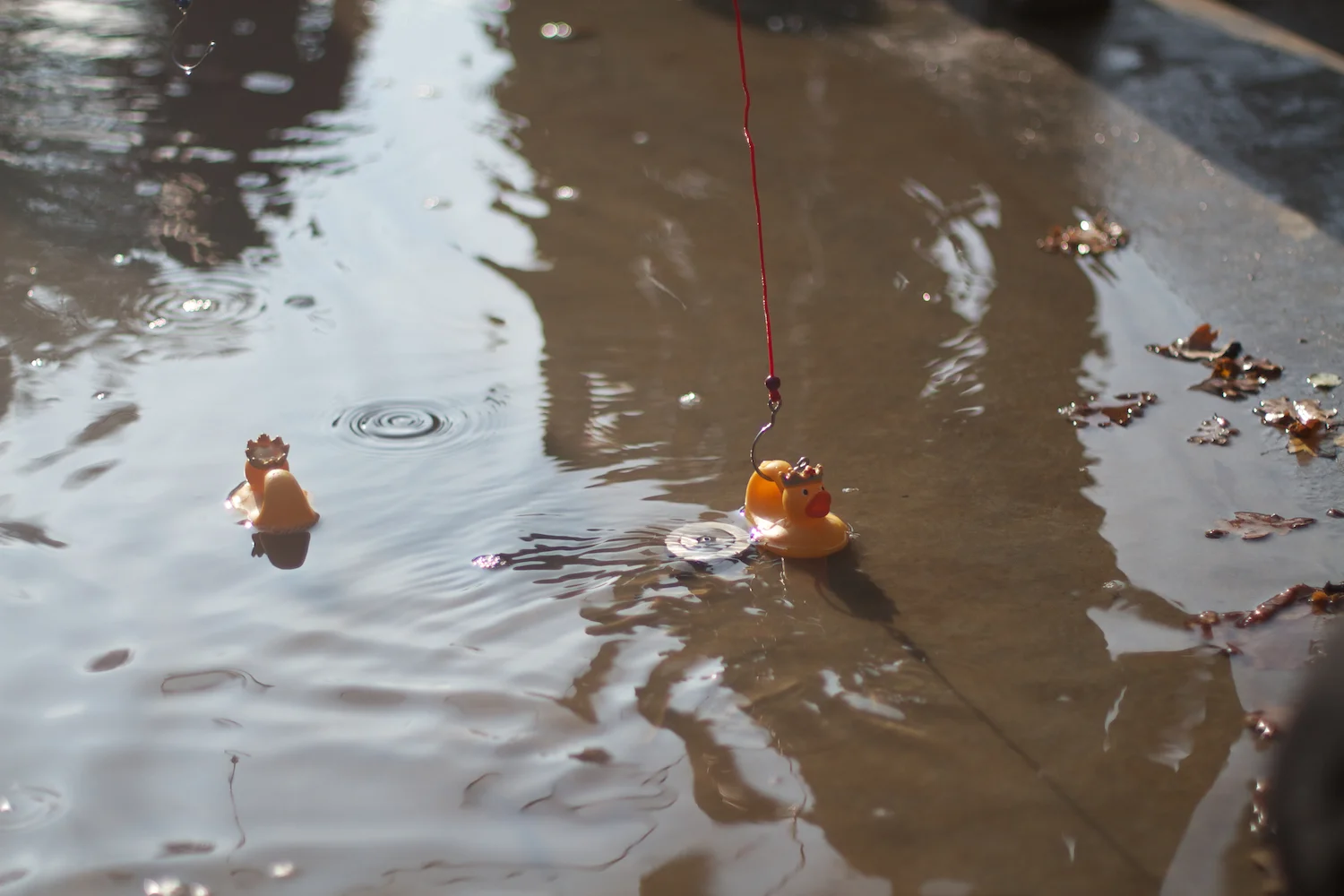 skd pic 2013_10_16 IMG_5300.CR2.jpg