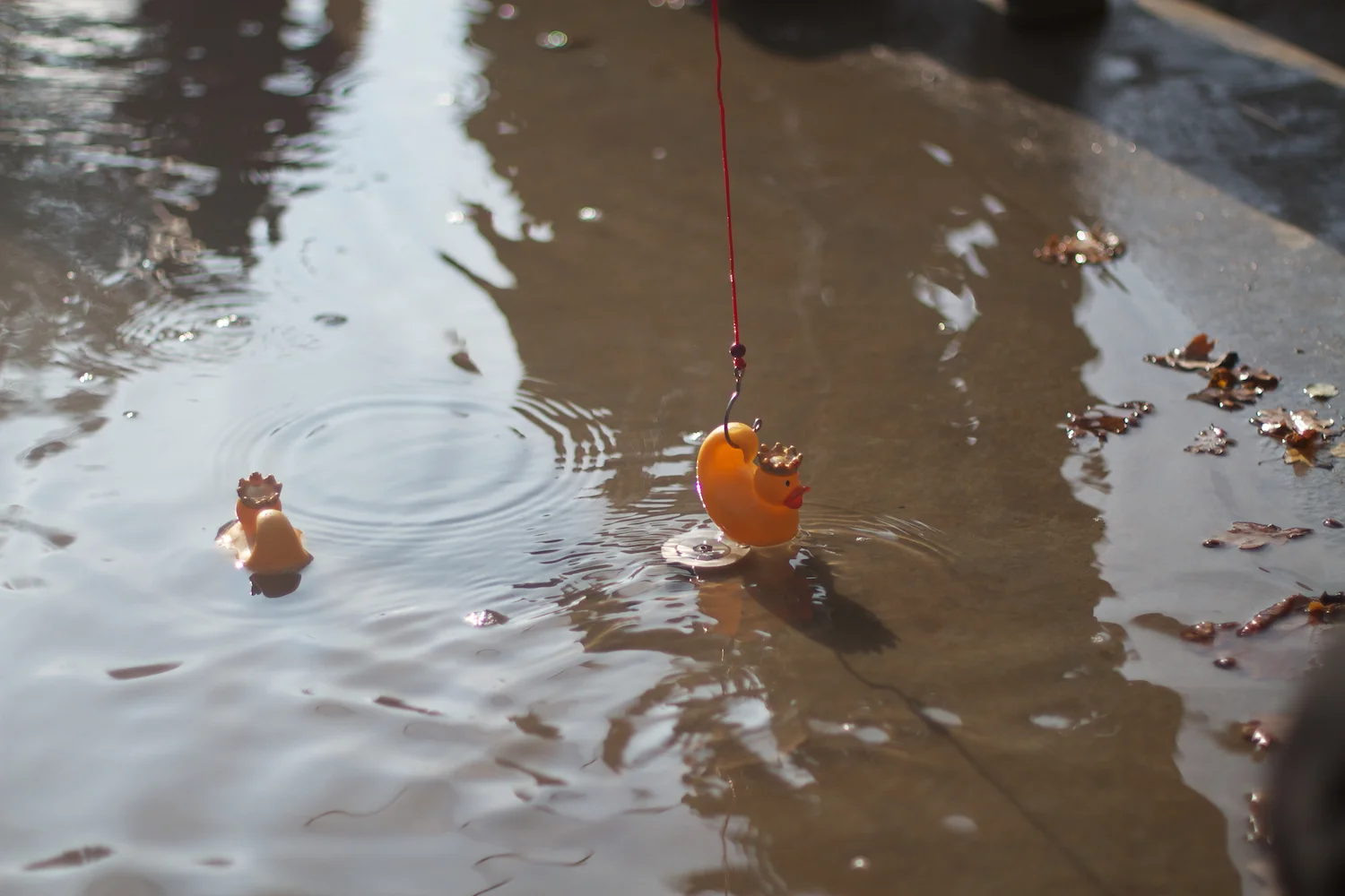 skd pic 2013_10_16 IMG_5301.CR2.jpg