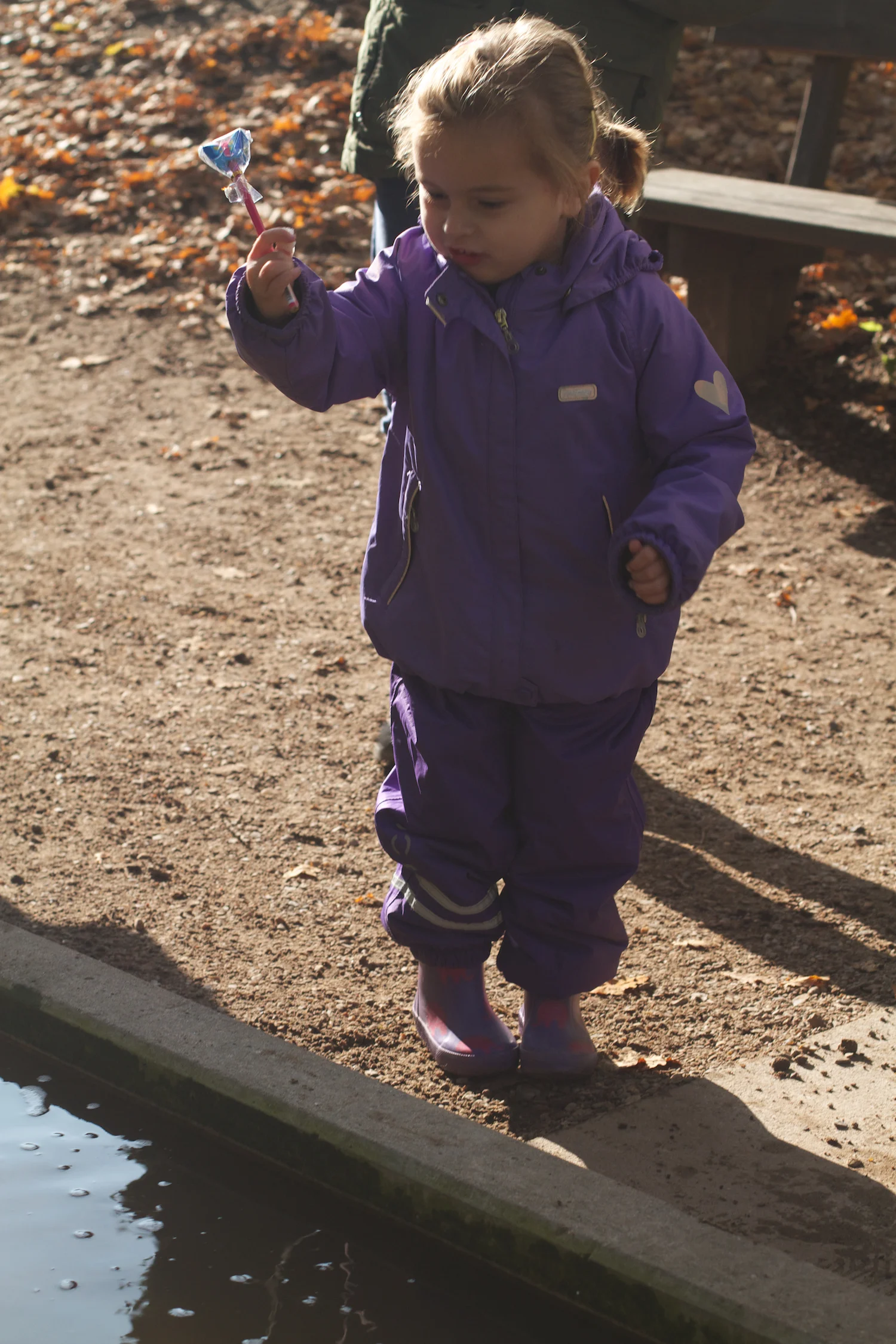 skd pic 2013_10_16 IMG_5338.CR2.jpg