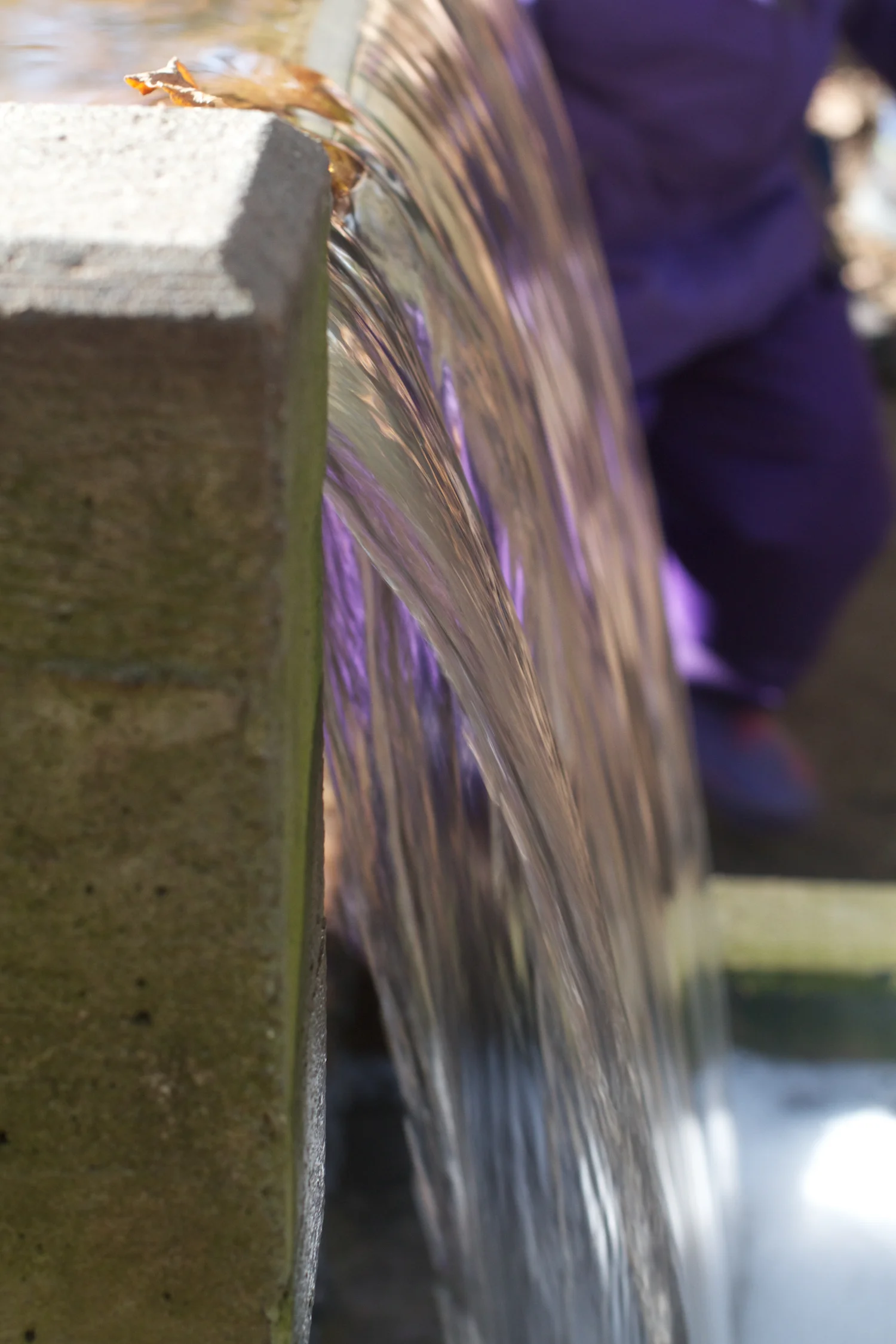 skd pic 2013_10_16 IMG_5341.CR2.jpg