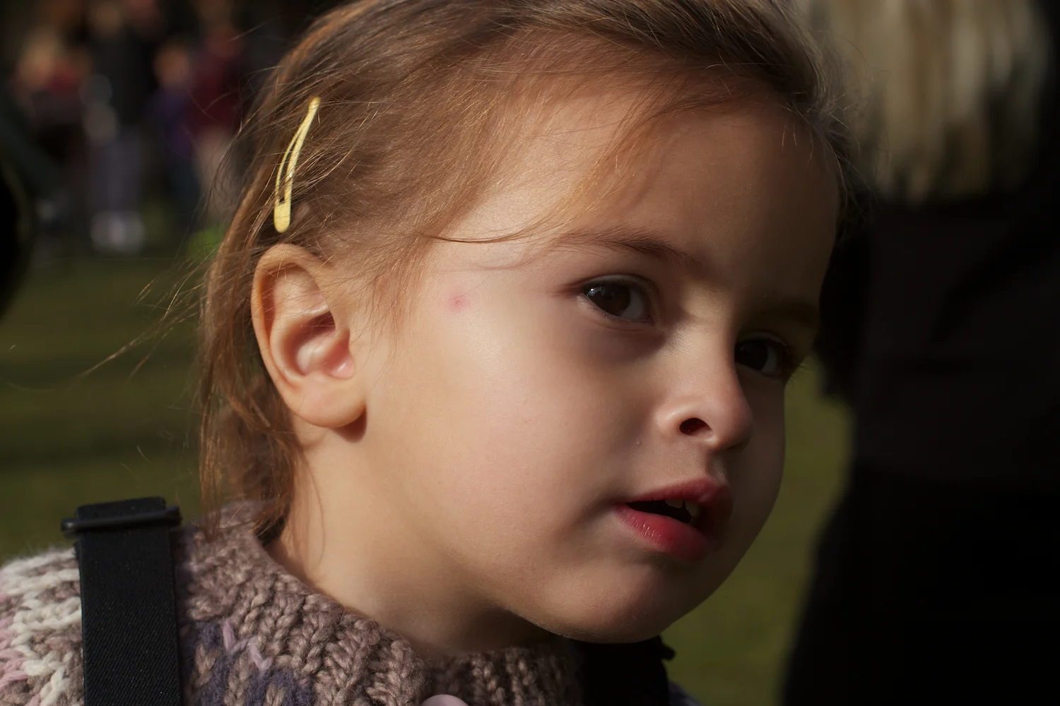 skd pic 2013_10_16 IMG_5359.CR2.jpg