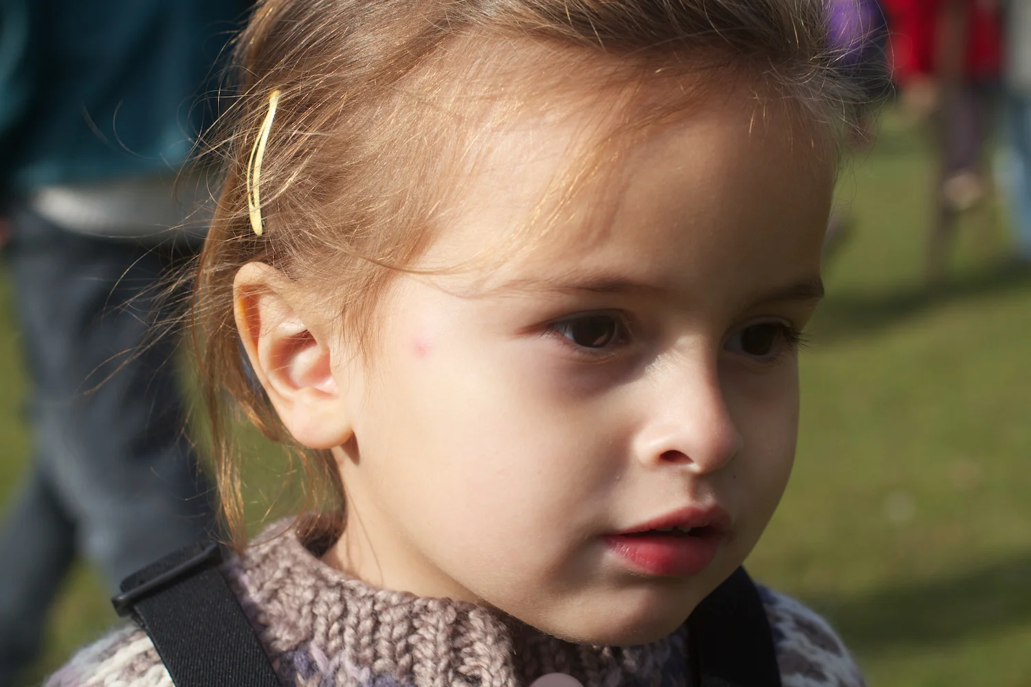 skd pic 2013_10_16 IMG_5362.CR2.jpg