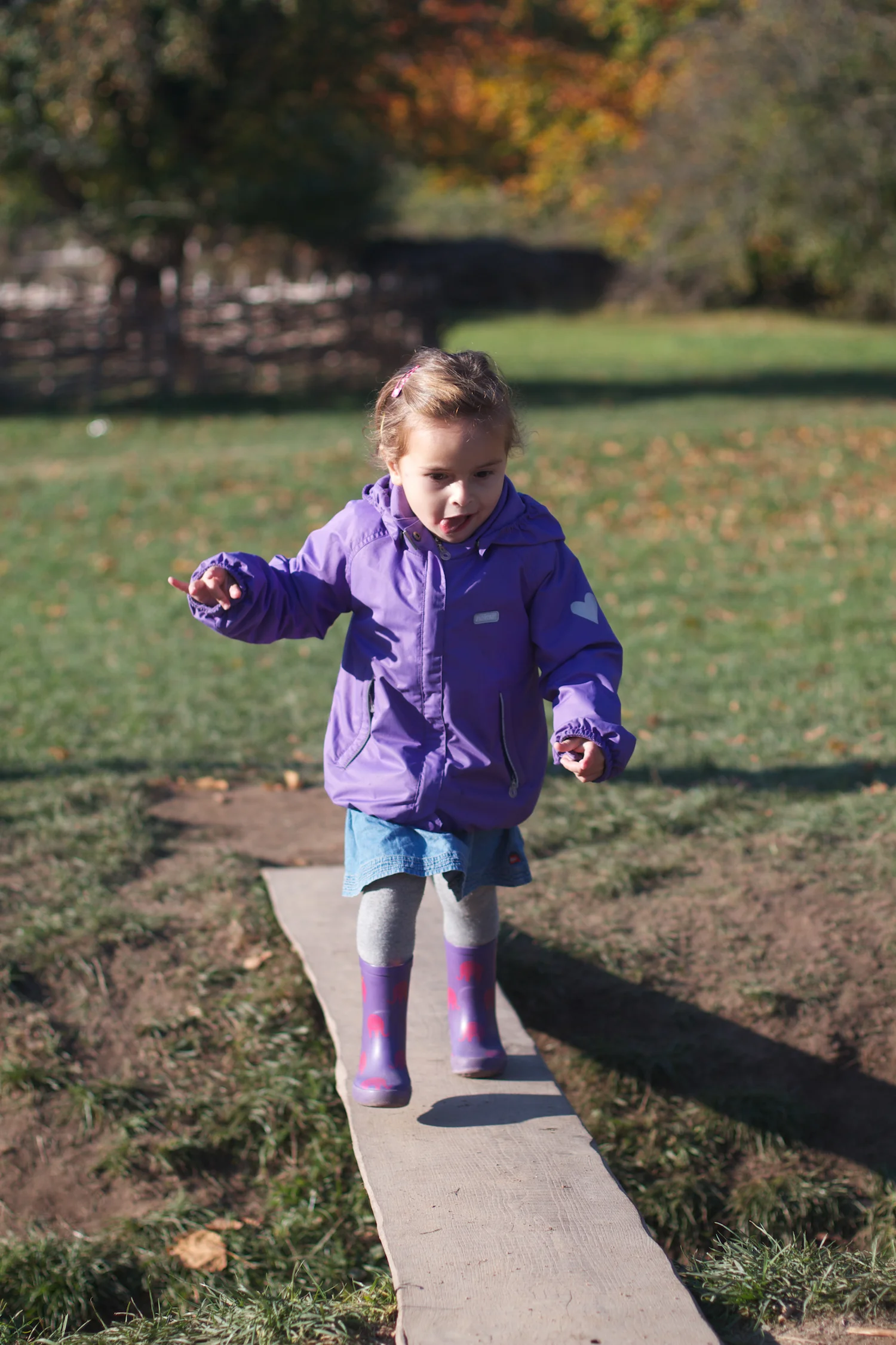 skd pic 2013_10_16 IMG_5563.CR2.jpg