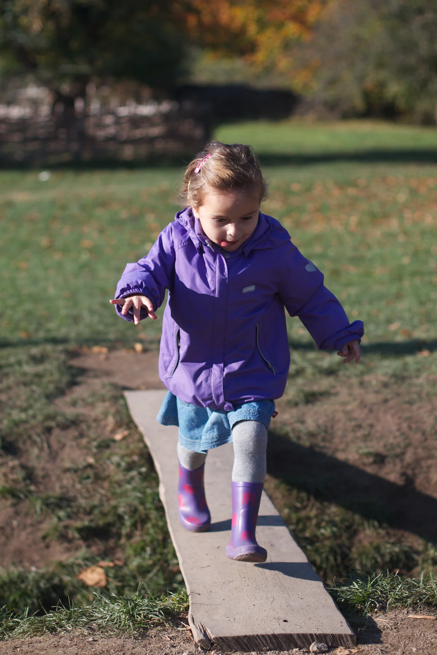 skd pic 2013_10_16 IMG_5564.CR2.jpg