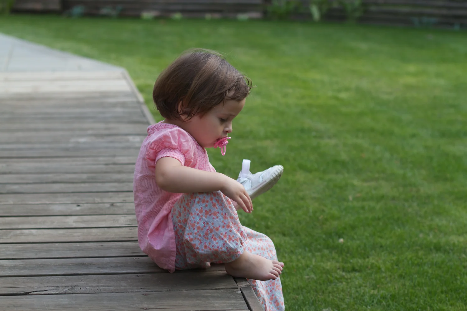 skd pic 2012_09_10 IMG_4776.CR2.jpg