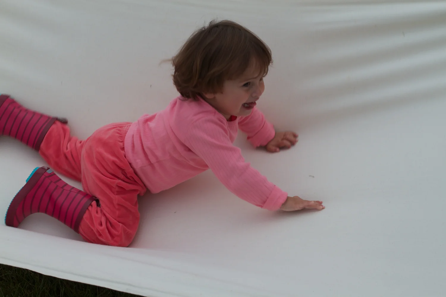 skd pic 2012_07_29 IMG_3799.CR2.jpg