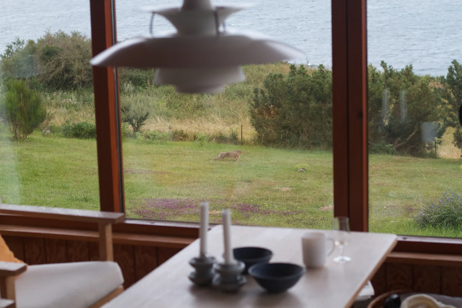 skd pic 2012_07_31 IMG_3876.CR2.jpg