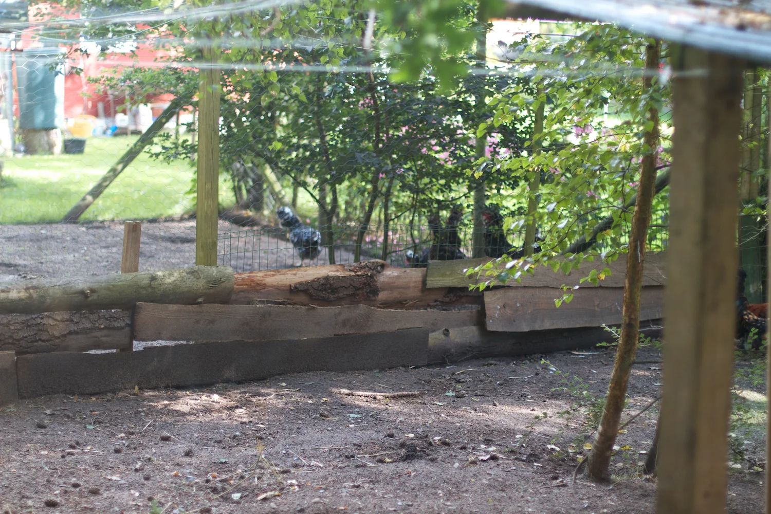 skd pic 2012_08_22 IMG_4346.CR2.jpg