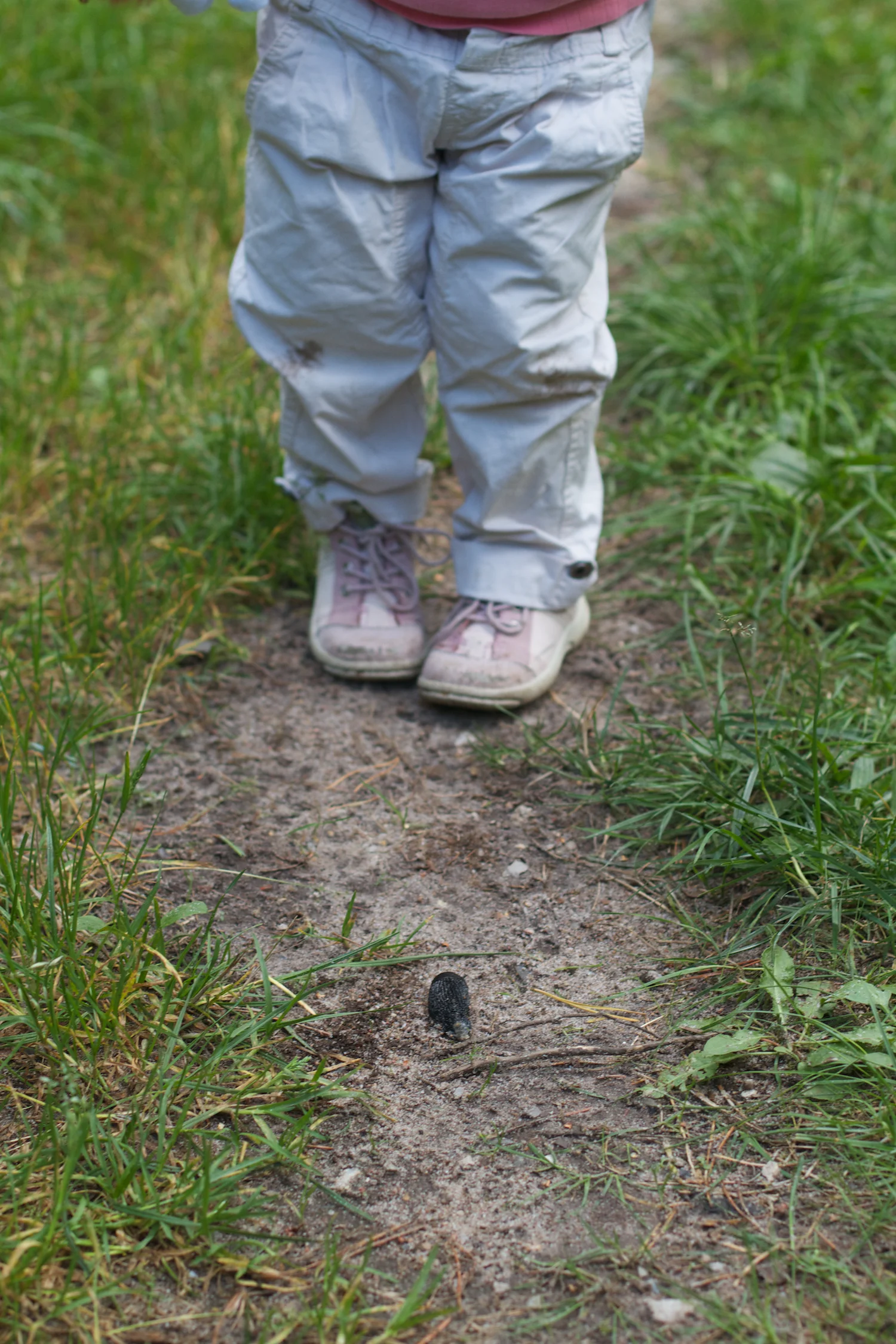 skd pic 2012_08_22 IMG_4367.CR2.jpg