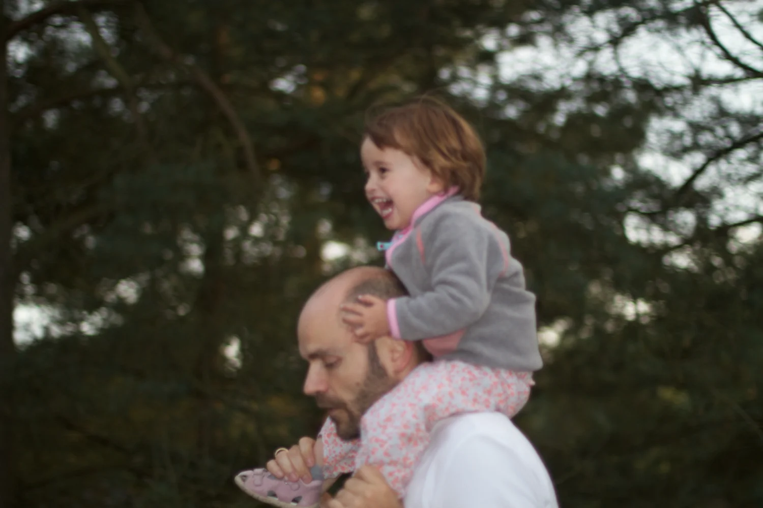 skd pic 2012_08_23 IMG_4428.CR2.jpg