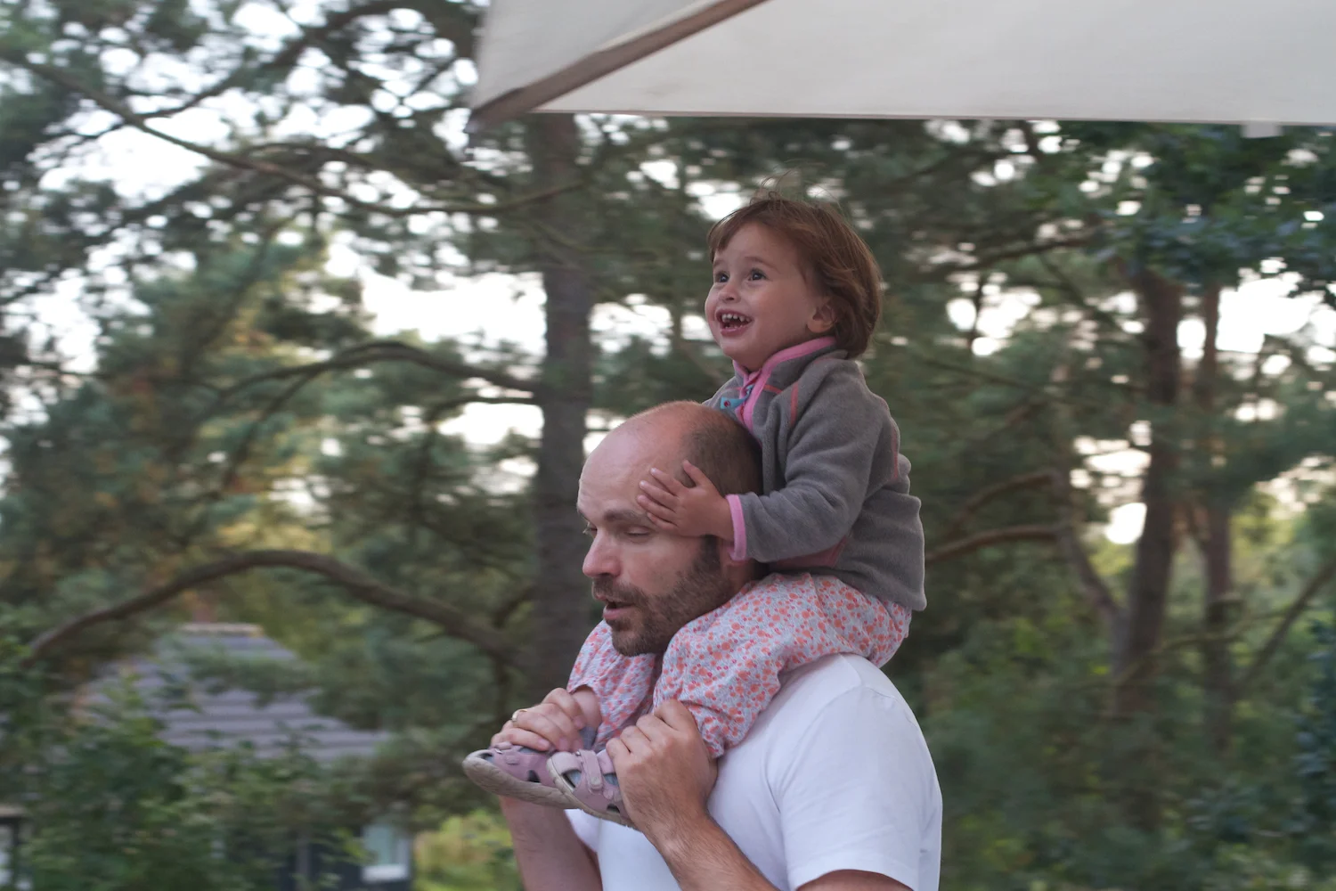 skd pic 2012_08_23 IMG_4437.CR2.jpg