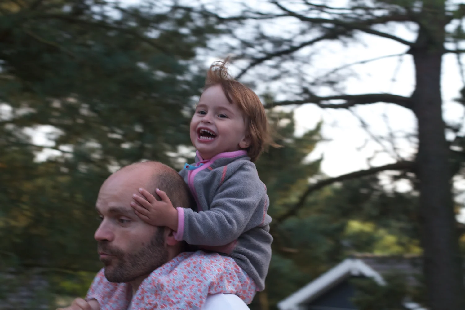 skd pic 2012_08_23 IMG_4446.CR2.jpg